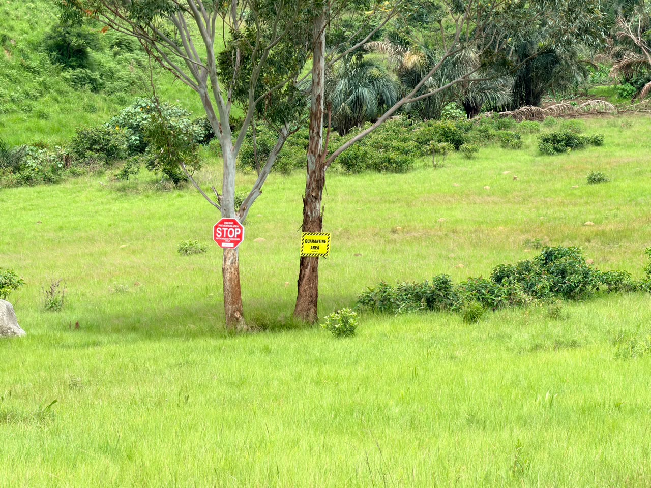 Marked disease prevention and quarantine area on a green ranch