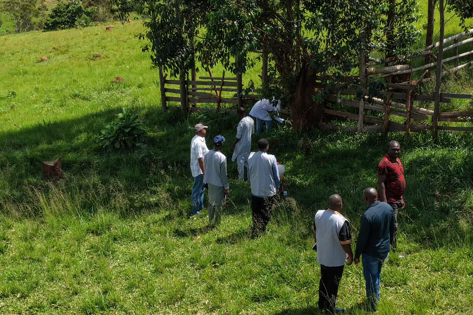 Veterinary and field teams inspecting a ranch